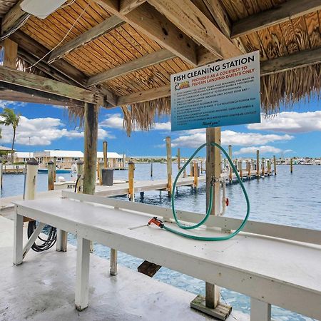 Eleuthera - 2X2 Fully Updated Old Town Waterfront Corner Condo Key West Eksteriør billede